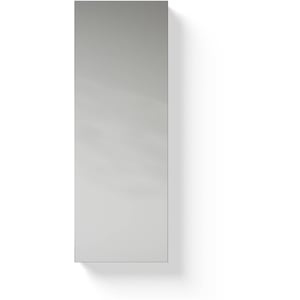 Looox M-Line spiegel 25 x 70 cm.