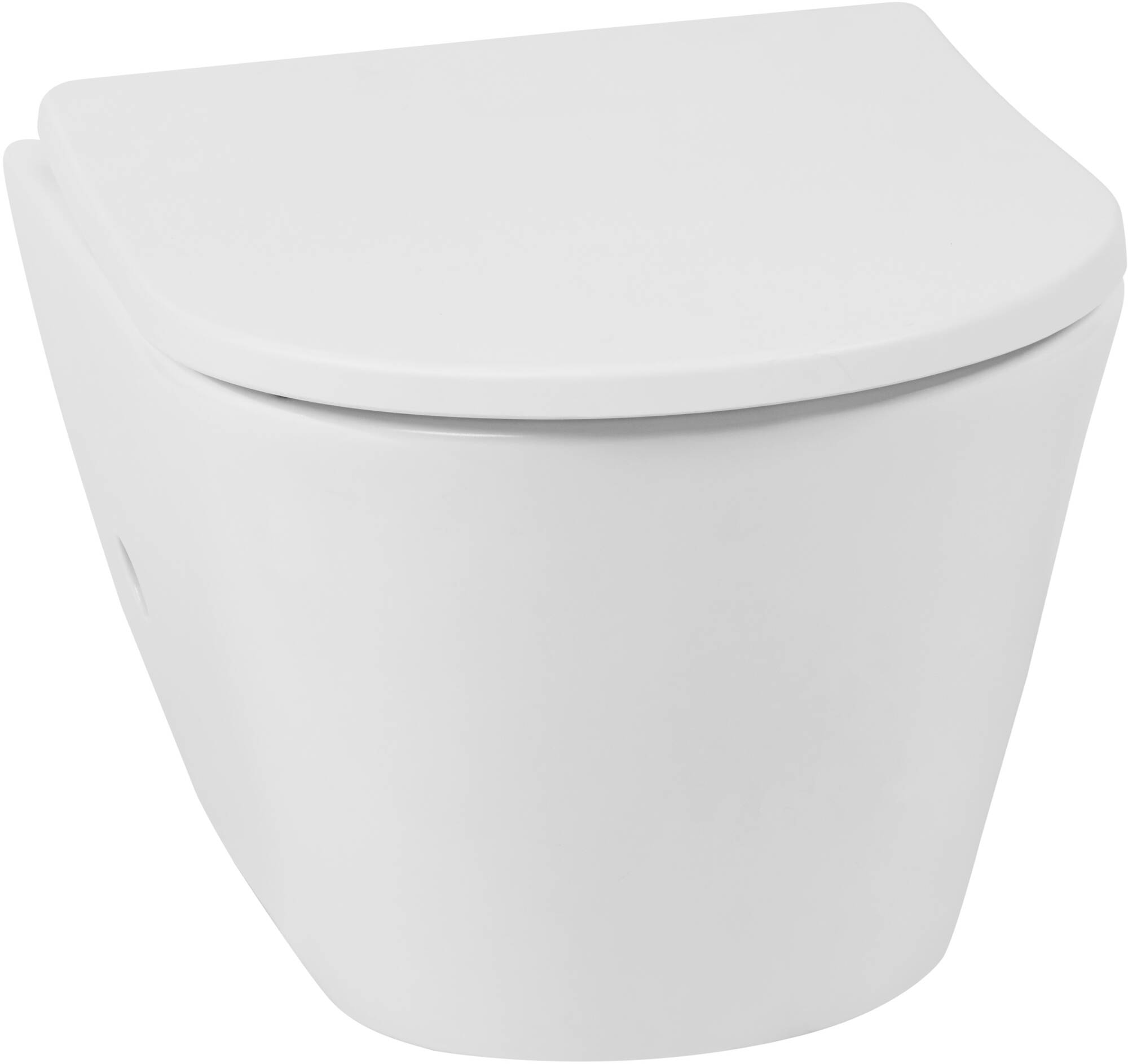 annuleren fluctueren Gedrag Saqu Wash 2.0 randloos hangtoilet met warm/koud water bidetkraan en  toiletbril Mat wit - Saniweb.be